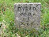 image number Sparrow Elvina D  141